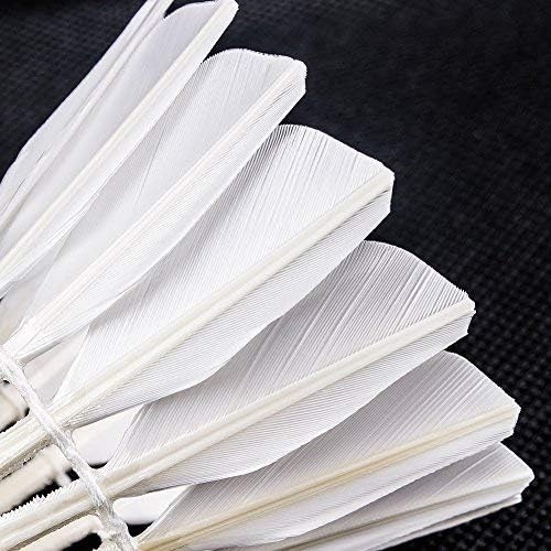 image:imageSenston Badminton Shuttlecocks 6 Pack Sports Birdies Shuttlecock 6PCS for Outdoor Indoor Sports Activities